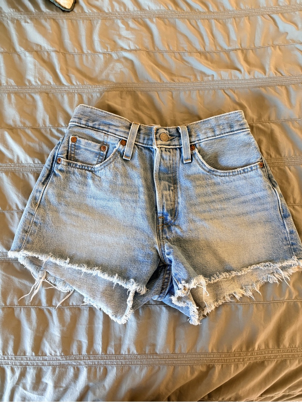 Levi's 501 Light Blue High-Rise Cut-off Denim Shorts Coastal Summer Vibes Sz 25